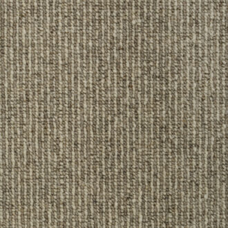 *Clearance* Sentient (Canada Only) thumbnail